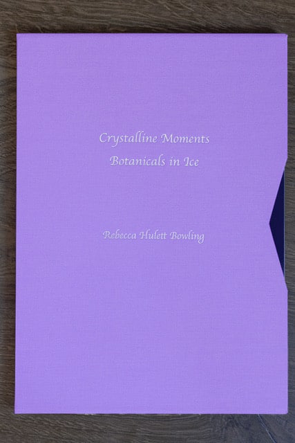 Crystalline Moments - Botanicals in Ice