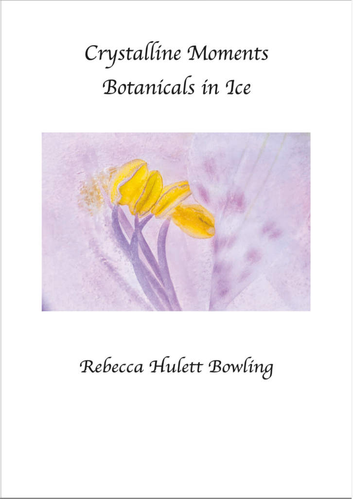 Crystalline Moments - Botanicals in Ice