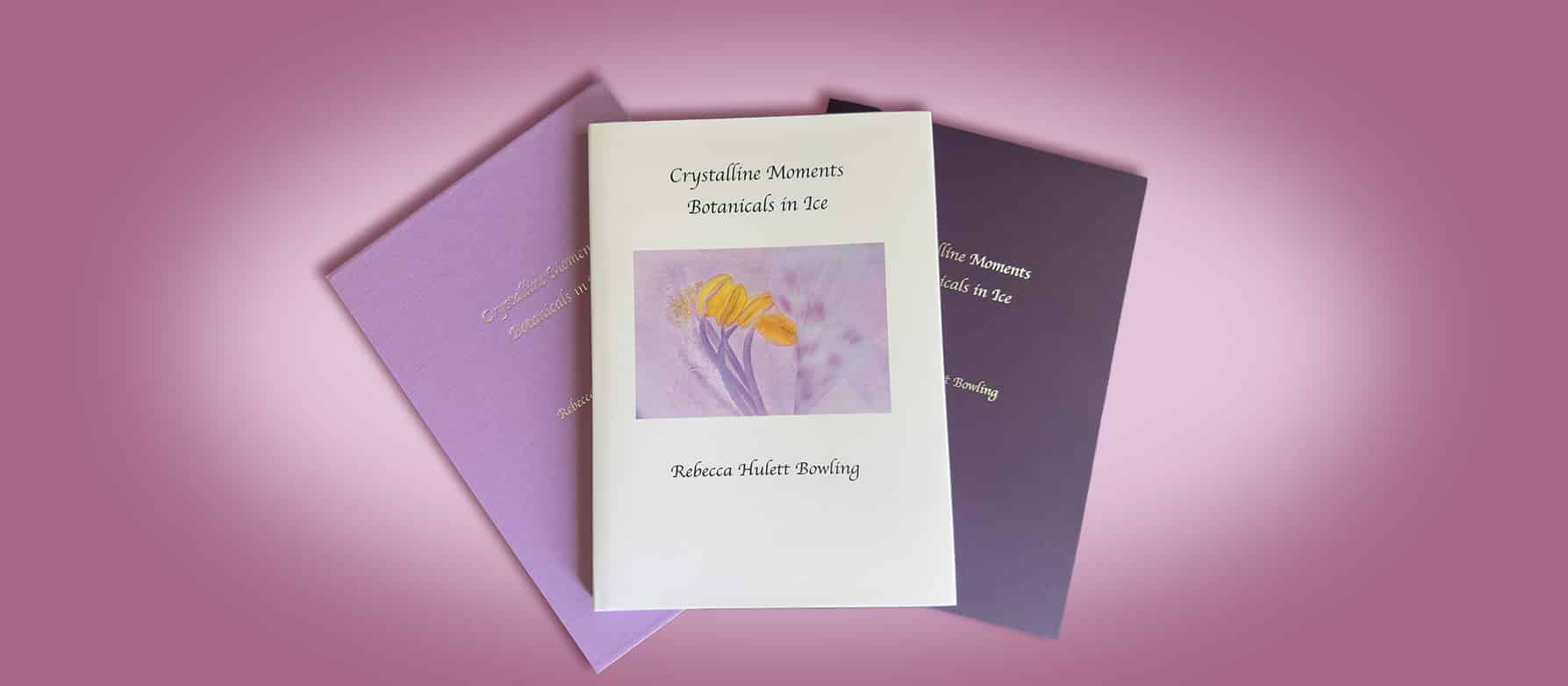 Crystalline Moments – Botanicals in Ice